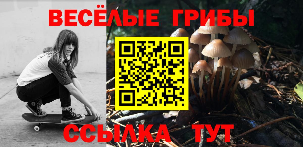 Мценск  Галлюциногенные грибы мухоморы  Вход с VPN 