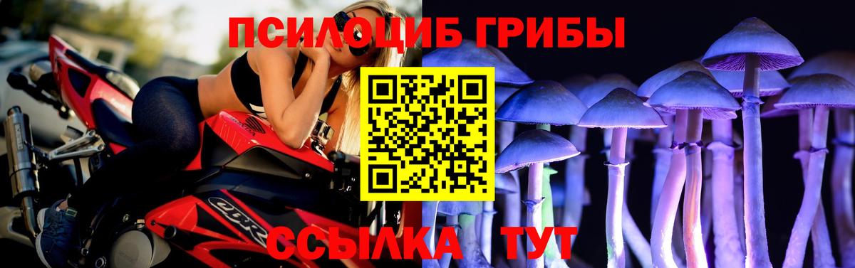 Псилоцибиновые грибы GOLDEN TEACHER Мценск